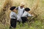 Oogstgroep